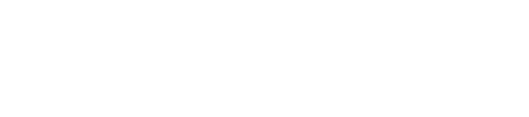 logo ibrandity.ro
